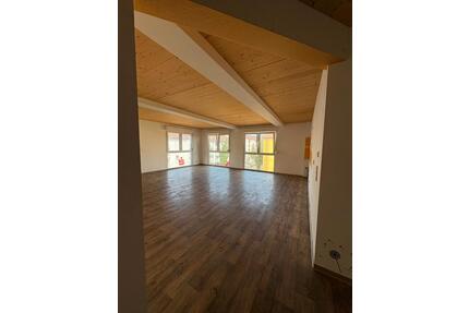 Neuwertige 3 Zimmer Wohnung mit Balkon und super Energieklasse - Mannheim Rheinau