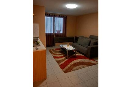 1 Zimmer mit Studio Küche, Bad,Flur mebiliert - Rottenburg am Neckar