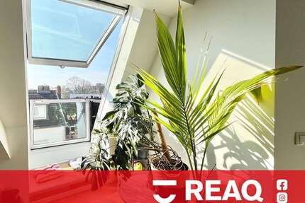 Wohnung zum Mieten in Aachen 695,00 € 50 m²