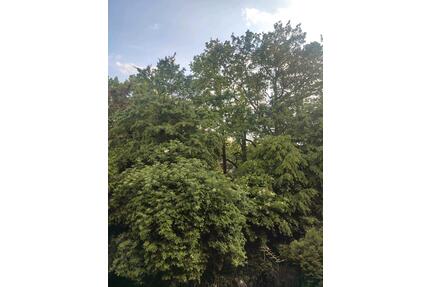 3 Zimmer Mietwohnungen Kinderhaus - Münster Münster-Nord