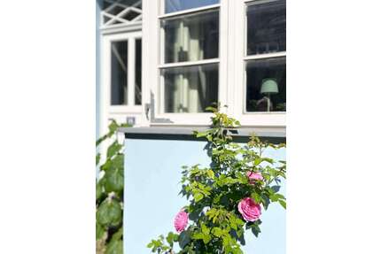 Wohnen auf Zeit in Lüneburg 1.850,00 €