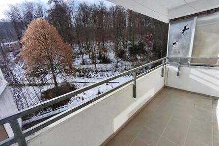 2 Zimmer Küche Bad, teilmöbliert separates WC mit Balkon - Megesheim