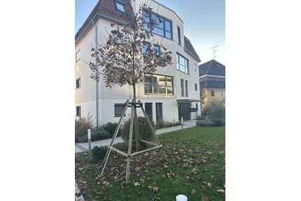 2,5 Zimmer Wohnung zu vermieten - Mengen