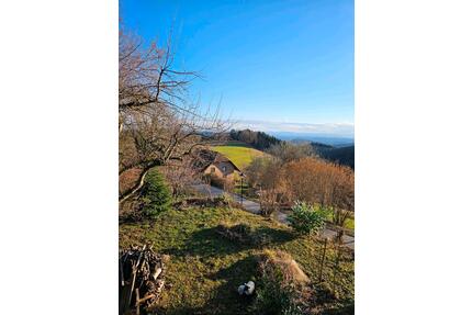 2,5 Zimmer Wohnung - 750,00&nbsp;EUR Kaltmiete, ca.&nbsp; 75,00&nbsp;m&sup2; in Münstertal/Schwarzwald (PLZ: 79244)