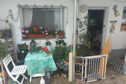 Vermiete 2 Zimmer Erdgeschosswohnung in Bickenbach