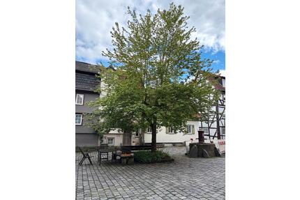 4 Zimmer DGW direkt in Alsfeld Innenstadt