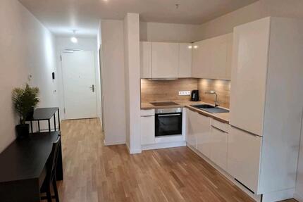 möbeliertes 1-Zimmer Appartment in toller Lage zur Untermiete - Frankfurt am Main Ostend