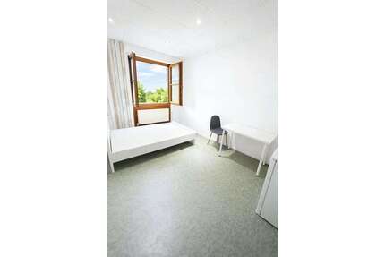 WG-Zimmer in Magstadt 650,00 € 16 m²