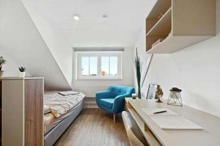 Wohnen auf Zeit in Dresden 889,00 €