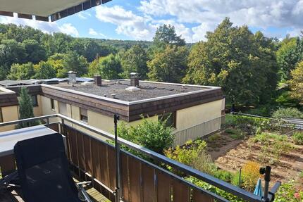 3,5 Zimmer Wohnung mit Blick auf das Lindental - Stuttgart Stuttgart-West