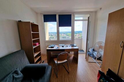 1 - Zimmer wohnung in Dresden, Strehlen 01219