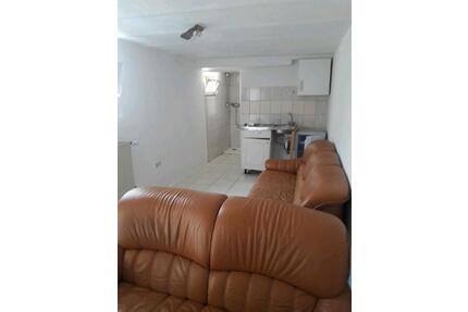 1 Zimmer Wohnung mit Bad in Reichelsheim (Odw) - Reichelsheim (Odenwald)