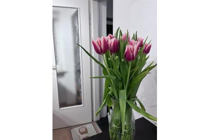 1-Zimmer Wohnung Kurzzeitmiete 01.02-28.02 im OEZ - München Feldmoching-Hasenbergl