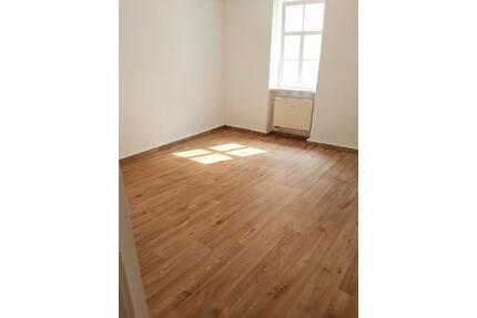 Renovierte 3-Zimmer Wohnung zu Vermieten! - Freiberg