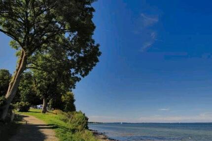 3 Zimmer Erdgeschosswohnung - 1.090,00&nbsp;EUR Kaltmiete, ca.&nbsp; 76,00&nbsp;m&sup2; in Steinbergkirche (PLZ: 24972)