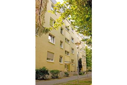 Gemütliche 1,5-Zimmer-Seniorenwohnung sucht neue Bewohner ab 55! - Wiesbaden Dotzheim