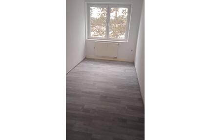 Schöne helle 4-Zimmer Wohnung zu vermieten - Zittau