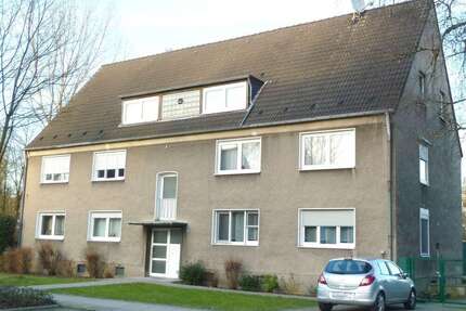 Wohnung zum Mieten in Gelsenkirchen 410,00 € 48 m²