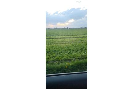 Zuche ein WG zimmer - 250,00&nbsp;EUR Kaltmiete, ca.&nbsp; 20,00&nbsp;m&sup2; in Essen (PLZ: 45327) Stadtbezirk VI