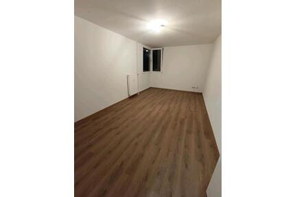 Renovierte 1-Zimmer Wohnung sofort verfügbar - Homburg