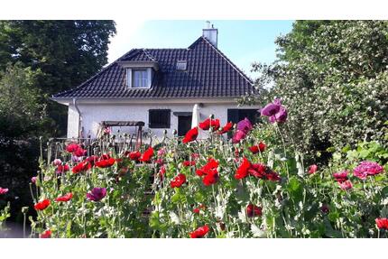 Grosses WG - Doppelzimmer in Gronau - Gronau (Westfahlen)