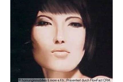 Haus im Haus Wohnung für Single oder Paar - nur mit Einkommensnachweis! - Duisburg Altstadt