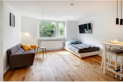 Möbliertes 1 Zimmer Apartment in OF-Lauterborn - Offenbach am Main Buchrain