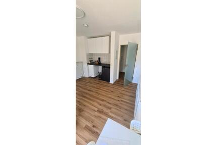 1 Zimmer Wohnung Möbliert zu Mieten in 71297 Mönsheim