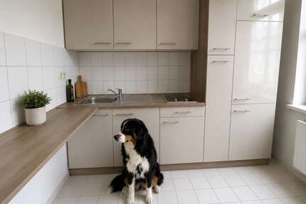 Wohnung zum Mieten in Chemnitz 276,00 € 46 m²