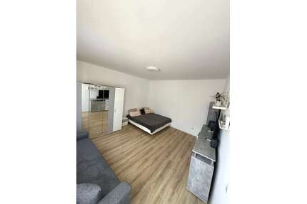 Wohnen auf Zeit in Mannheim 1.250,00 €