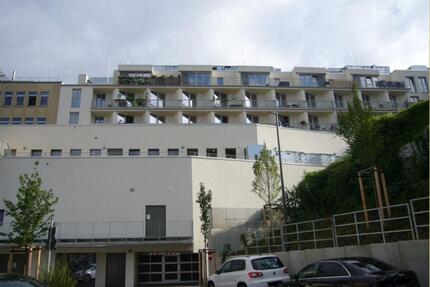 Perfekte Singlewohnung mit Einbauküche in zentraler Lage! - Dresden Cotta