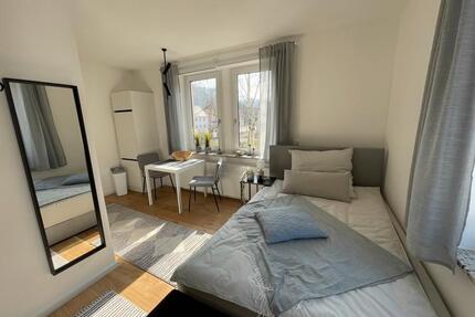 1-Zimmer Studio-Apartment vollmöbliert nahe Boehringer - Biberach an der Riß