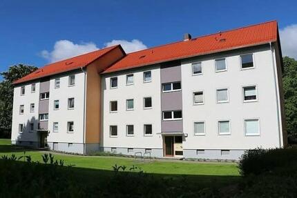 2 Zimmer Wohnung - 467,00&nbsp;EUR Kaltmiete, ca.&nbsp; 43,00&nbsp;m&sup2; in Bad Harzburg (PLZ: 38667)