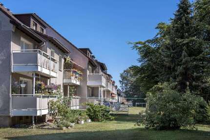 Wohnung zum Mieten in Castrop-Rauxel 399,00 € 45 m²