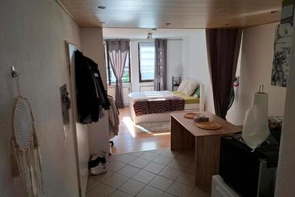 Ab sofort frei: gemütliche 1 Zimmer Wohnung (Oststadt Nürnberg)