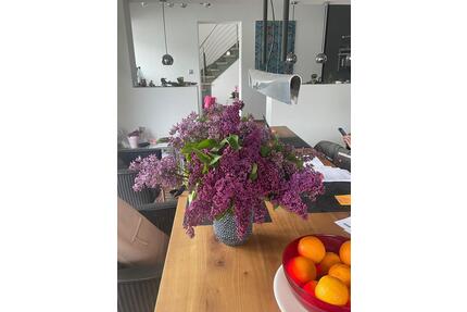 WG Zimmer in wunderschönem Stadthaus - Osnabrück Dodesheide