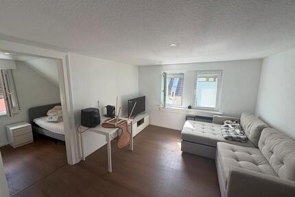 Möbliertes 20-m²-WG-Zimmer in Frankfurt-Nied - Frankfurt am Main