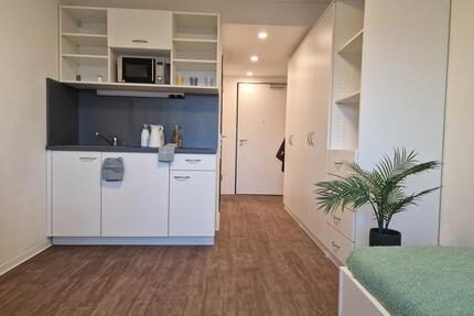 Tolles 1-Raumapartment zur Miete im Leipziger Zentrum - Wentzel Dr. -