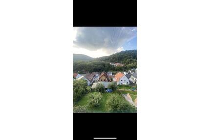 2 Zimmer Wohnung in Heidelberg ziegelhausen mit Terrasse