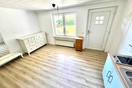 2-Zimmer Wohnung EG im Grünen ruhig Haustiere gerne - Lautertal (Odenwald)
