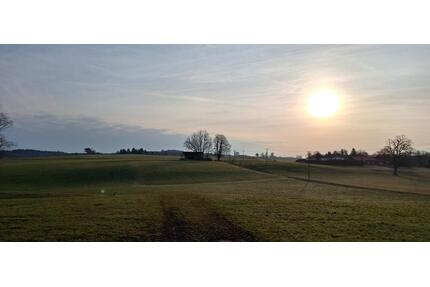 Helle frisch sanierte 4-Zimmer Wohnung mit Garten und Terrasse - Dietramszell
