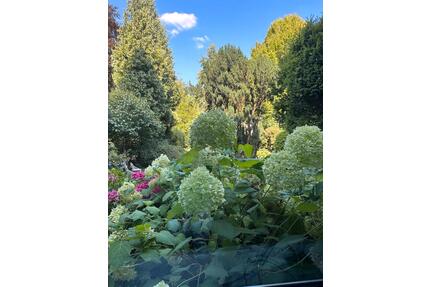 Möblierte Gartengeschoß Wohnung zu vermieten - Hamburg Winterhude