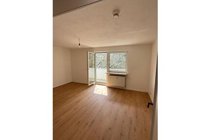 2 Zimmer Wohnung Balkon Stellplatz Erstbezug nach Sanierung - Fürth Bislohe