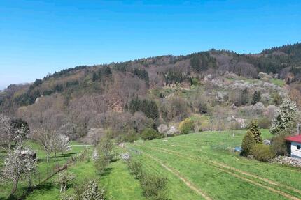 4 Zimmer Wohnung Bühl-Neusatz - 900,00&nbsp;EUR Kaltmiete, ca.&nbsp; 110,00&nbsp;m&sup2; in Bühl (PLZ: 77815)