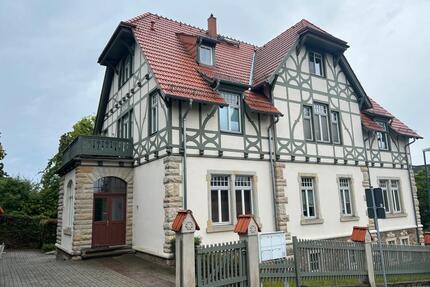 Helle 1-Zimmer Wohnung im Gartengeschoss mit Terrasse in Radebeul