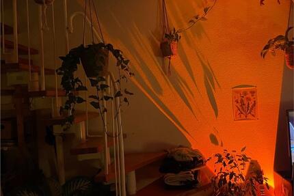 2,5 Zimmer Wohnung Karlsruhe Oststadt