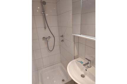 1 zimmer wohnung Mainz ab Mai 2026