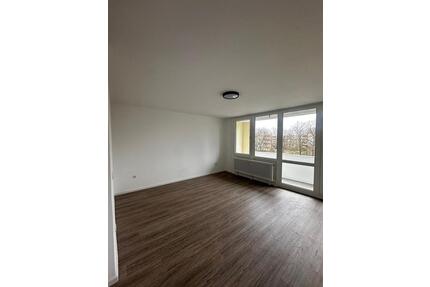 Neu renovierte, helle 4-Zimmer Wohnung in Mannheim-Vogelstang - Neustadt an der Weinstraße