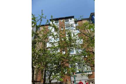 Wohnung zum Mieten in Kiel 990,00 € 50 m²