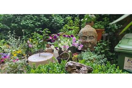 WG-Zimmer in Frankfurt am Main 750,00 € 20 m²